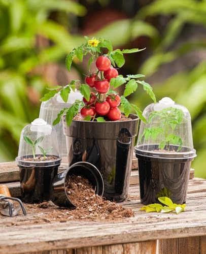 homenote 5 Inch Nursery Pots with Humidity Domes for Seed Starting (15 Pcs) - Image 4