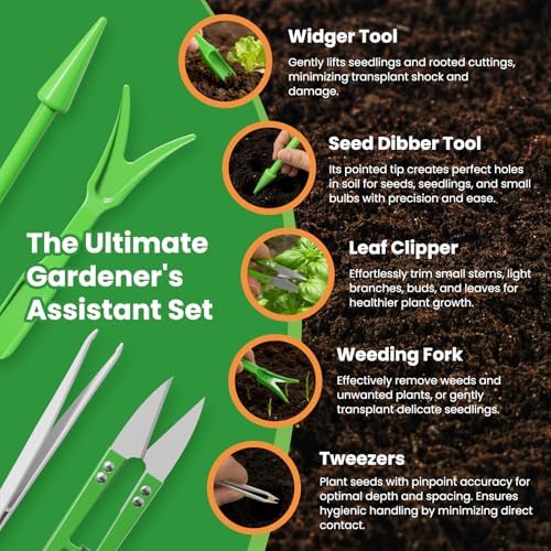 7 Variety Mix Lettuce Seeds - 7000+ Heirloom Lettuce Seeds for Planting Including Romaine, Butter Lettuce, Iceberg Lettuce, etc - Outdoor Hydroponics Gardens Fresh Leafy Green Vegetables Easy to Grow - Image 6
