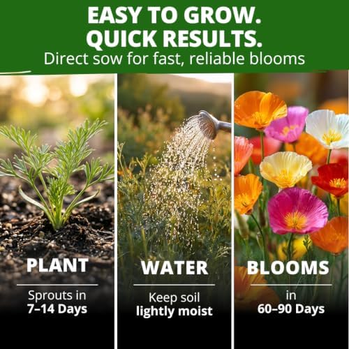 HOME GROWN Formula Mix California Poppy Seeds, 2,000 Seeds - Image 4