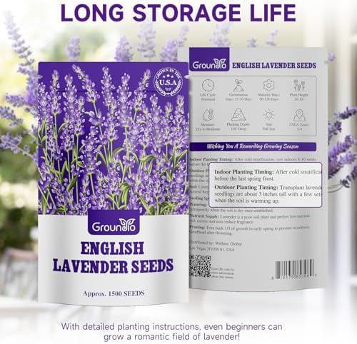 Groundio 1500+ English Lavender Seeds for Planting, Non-GMO | Heirloom | High Germination Dwarf Lavender Herb Seeds for Indoor & Outdoor Pollinator Attract (Lavandula Angustifolia) - Image 6