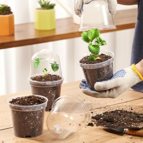 pson 10Pcs 3.5 Inch Clear Plant Humidity Dome Cover, Reusable Plastic Frost Protection Mini Greenhouse for Indoor and Outdoor Plant Growth - Image 6