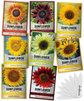 Gardeners Basics Sunflower Seeds for Planting Flowers - Velvet Queen, Skyscraper, Lemon Queen, Giant, Autumn Beauty, Chocolate Cherry, Dwarf Sunspot and Mammoth Bulk Outdoor Flower Garden, Pack of 8 by GardenersBasics