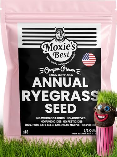 Annual Ryegrass Seed 1/2 Quart 5.5 oz Pure Native Sprouts Grass in 3-6 Days by Unknown