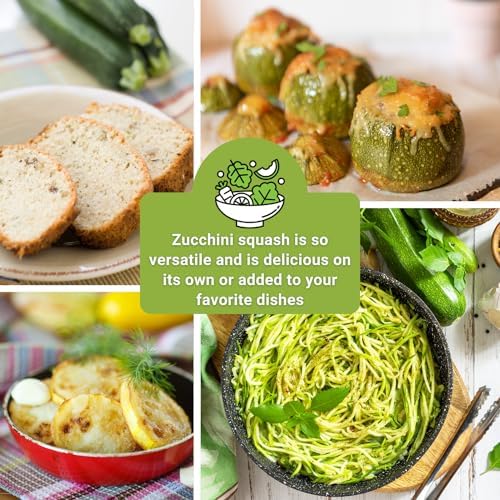 Sow Right Seeds - Zucchini Seed Collection for Planting Summer Squash - Image 3