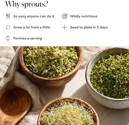 Sprouting Jar Kit, Straight-Wall Jar Kit for Sprouts - Image 6