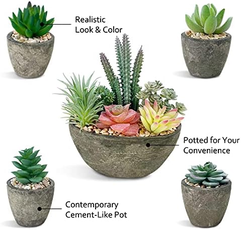 Succulents Plants Artificial Set of 5, Realistic Fake Succulents with Cement Like Pots for Home Office Decoration. - Image 5