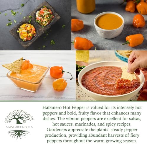 Habanero Hot Pepper Seeds (Capsicum chinense) – 25+ Heirloom Non-GMO Seeds by Isla’s Garden Seeds, Fiery Lantern-Shaped Peppers for Salsa & Hot Sauce, Productive Warm-Season, Bold Flavor for Cooking - Image 6