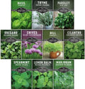 Indoor Herb Seeds Variety Pack - 10 Herbs for Planting by SurvivalGardenSeeds