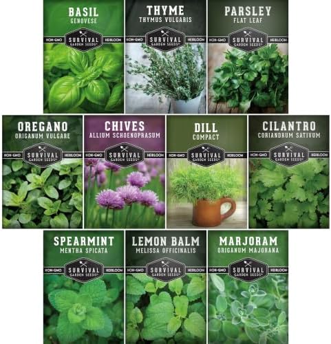 Indoor Herb Seeds Variety Pack - 10 Herbs for Planting by SurvivalGardenSeeds