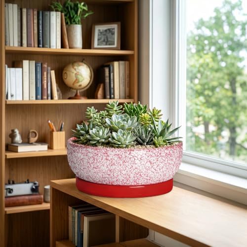 Succulent Pots 13 Inch, Ceramic Bonsai Tree Pots, Texture Red - Image 3