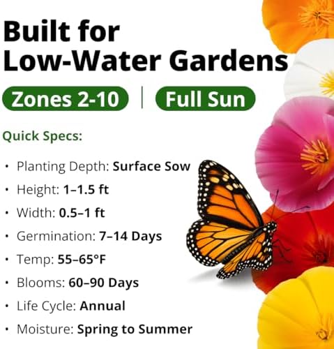 HOME GROWN California Poppy Formula Mix 3000 Seeds Eschscholzia californica - Image 3