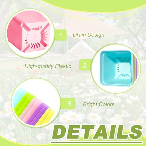 Anyumocz 70 PCS 3" Colorful Plastic Plant Pots,Plastic Square Nursery Pot,Seedling Nursery Pots with Saucers for Indoor Outdoor Plants,Garden,Flower,Home,Office,Balcony Decor - Image 3