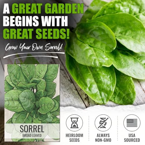 Seed Needs Large Leaf Sorrel Seeds to Plant an Herb Garden - 5 Packs - Image 2