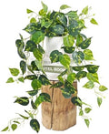 Fake Plants, Artificial Plants Indoor, 34" Fake Hanging Pothos Vines, 1Pc by Waipfaru