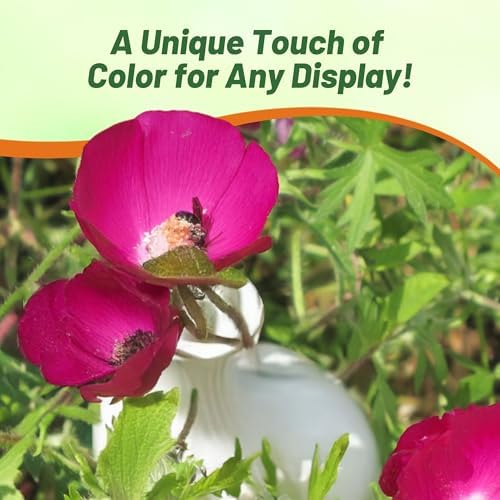 Outsidepride Mallow Poppy Seeds for Planting - 25 Pcs Perennial, Drought-Tolerant & Easy to Grow Wildflower Seeds with Vibrant Purple Blooms for Landscaping, & Pollinator Garden - Image 6