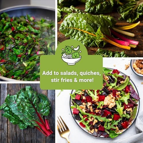 Sow Right Seeds - Swiss Chard Seed Collection for Planting Vegetable Garden - Image 6