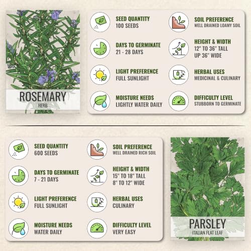 Seed Needs Herb Seeds Variety Pack of 5 - Italian Herbs Non-GMO & Heirloom - Image 7