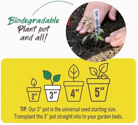 Jiffy Biodegradable Peat Pots for Seedlings, 3 Inch, 22 Pack - Image 3