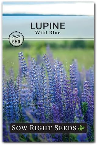 Sow Right Seeds - Wild Blue Lupine Seed for Planting Perennial Wildflower by SowRightSeeds