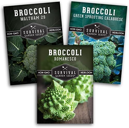 Broccoli Seeds for Planting – 3 Varieties - Survival Garden Seeds by SurvivalGardenSeeds
