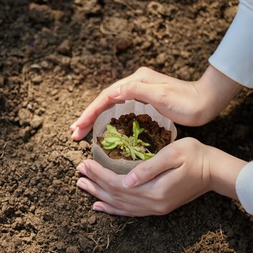 Plants Nursery Bags Non-Woven Seedling Grow Bags, 200 Pcs, 16*20cm - Image 6