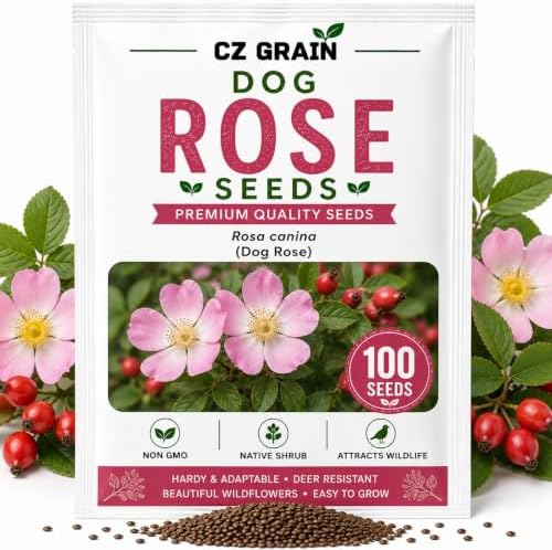Dog Rose Bush Seeds for Planting | 100 Seeds | Pink Wild Rose Rosa Canina by CZGrain