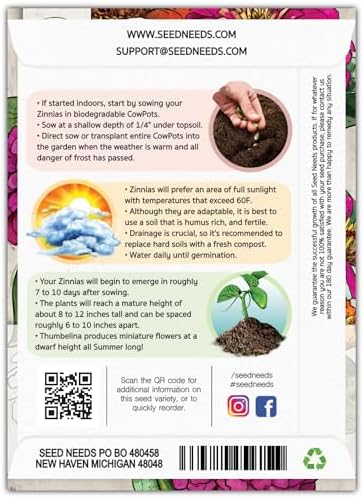 Seed Needs Thumbelina Zinnia Seeds to Plant Cut Flowers - 5 Packs - Image 2