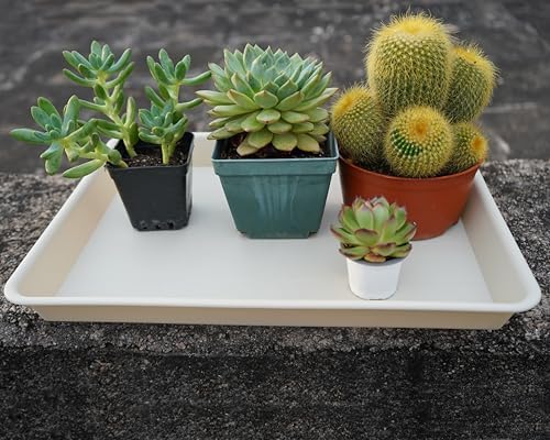 VUWEZ 2 Pack Rectangular Plant Saucer Tray, Heavy Duty Plastic, Beige, 17.5" x 10.6" x 1.5" (2 pack), Plant Drip Trays for Pots, Seed Starter Growing Trays, Indoor/Outdoor Use - Image 6