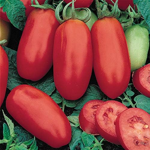 25 Variety Pack Vegetable Garden Seed Collection, Including Tomatoes, Peppers, Herbs, Leafy Greens and More - Image 5