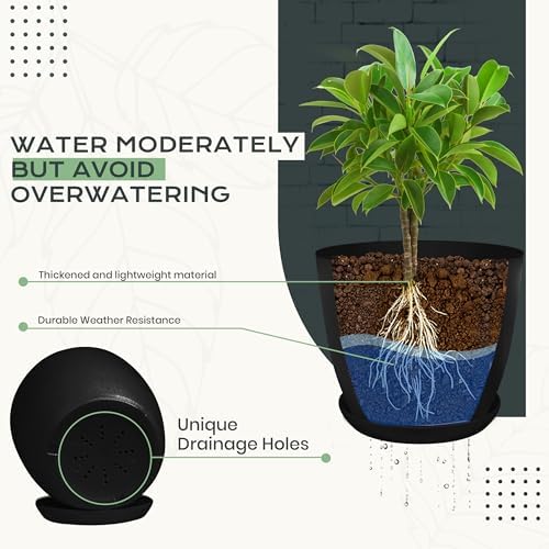 Plant Pots Indoor with Drainage, 10 Pack Multi-Size Planters Set, Black - Image 3