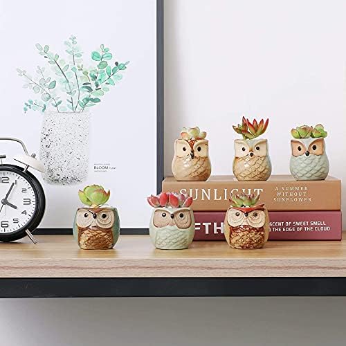 T4U Owl Succulent Pots, Mini Ceramic Gift Pots with Drainage, Retro 6 Pack - Image 6