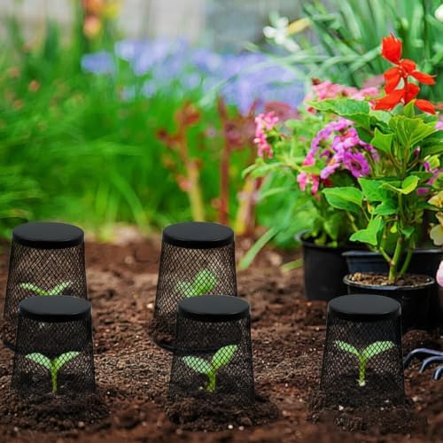 6 PCS Small Chicken Wire Plant Covers for Seedling, 3.5 Inch Mini Garden Cloches Metal Netting Protectors for Keeping Chicken Squirrels Birds Out, Only Suitable for Very Small Seedlings or Seeds - Image 5