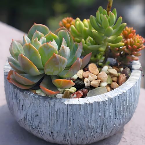 FANTIAN Succulent Rocks, 3/8 Inch Polished Pebbles for Indoor Plants, Decorative River Rocks for Plants Indoor, Vase Fillers, Cactus Planters, Bird Bath, Fountain, Outdoor Garden Landscaping - Image 5