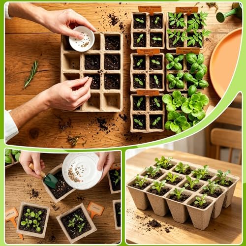 DANALLAN 20Pcs Seed Starter Tray 240 Cells Seed Starting Trays Thickened Biodegradable Seed Starter Pots Kit for Vegetables Flowers Seed Starting Planting Seeds (20) - Image 5