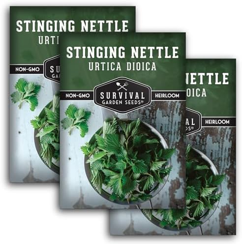 Stinging Nettle Seeds for Planting - 3 Packs by SurvivalGardenSeeds