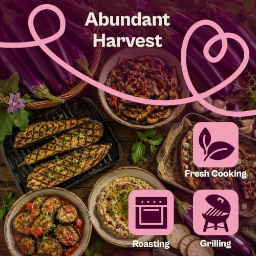 SVI 250 Long Purple Eggplant Heirloom Vegetable Seeds, Solanum melongena - Image 4