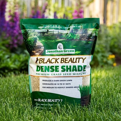 Jonathan Green Black Beauty Dense Shade Grass Seed - 25 lb - Image 3