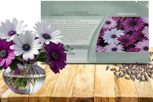 Outsidepride Akila Mix Osteospermum African Daisy Seeds - 10 Pcs. Perennial Flower Seeds for Planting Outdoors with Long-Lasting Blooms, Drought-Tolerant, Easy to Grow for Sunny Gardens & Borders by Outsidepride