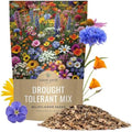 Drought Tolerant Wildflowers Mix – Bulk 1 Pound Bag – Over 120,000 Open Pollinated Non-GMO Seeds – 21 Different Dryland Species by SweetYards