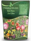 Outsidepride Southwest Wild Flower Seed Mix - 1/4 lb. Heat & Drought Tolerant Premium Blend of Annual & Perennial Wildflower Seeds for Planting on Outdoor Lawns & Gardens from Spring to Fall by Outsidepride