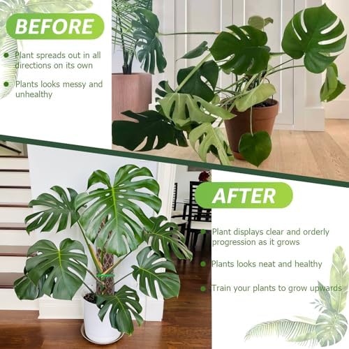 Plastic Moss Pole for Monstera and Climbing Plants (4 PACK-16Inch) - Image 3