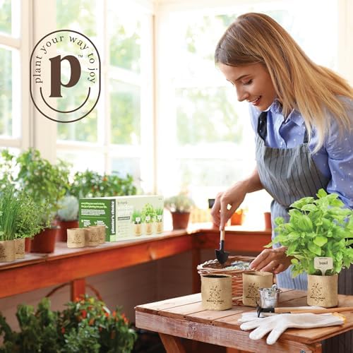 9 Herb Indoor Window Garden Kit - House Plants Seeds - Birthday Gifts - Image 3