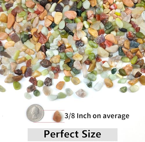 YISZM 2LB Succulent and Cactus Colorful Pebbles, 3/8 Inch Stones - Image 4