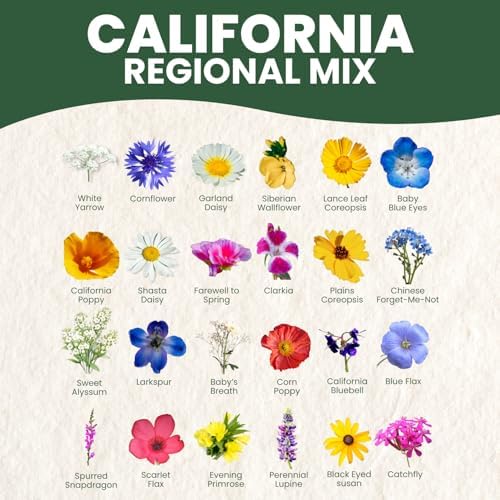 California Regional Mix – 3,500 Seeds for Planting – 2026 Season – 5 Gram Pouch - Image 4