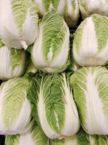 Asian Garden Vegetable 5000+++Seeds Collection for Fall Planting, Mixed Varieties gailan, tatsoi, GAI Choy, bok Choi, pak Choy, Lettuce...Cool Season Leafy Vegetables - Image 4