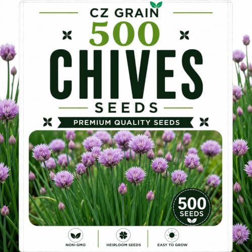 Garden Seeds for Planting, 500 Chives by CZGrain