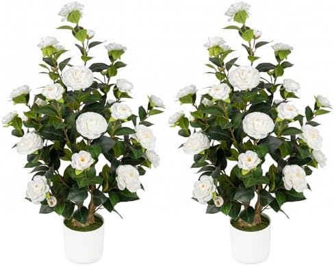2 Pack 3FT Artificial Camellia Trees with White Flowers by UFEH