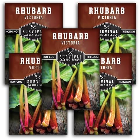Victoria Rhubarb Seeds for Planting - 5 Packs by SurvivalGardenSeeds