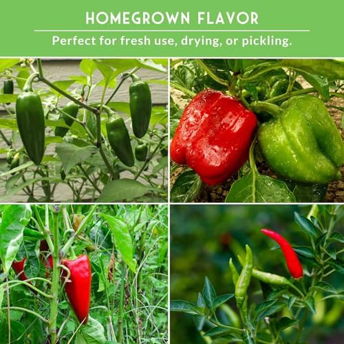 Pepper Seeds Collection - 8 Variety Pack for Planting - Image 4