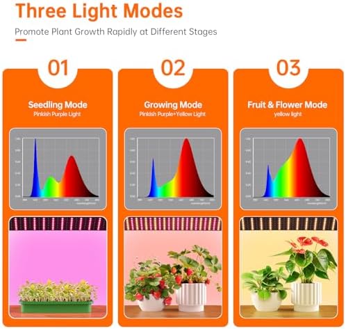 Bstrip Mini Indoor Greenhouse with Grow Light, Desktop Small Greenhouse - Image 4